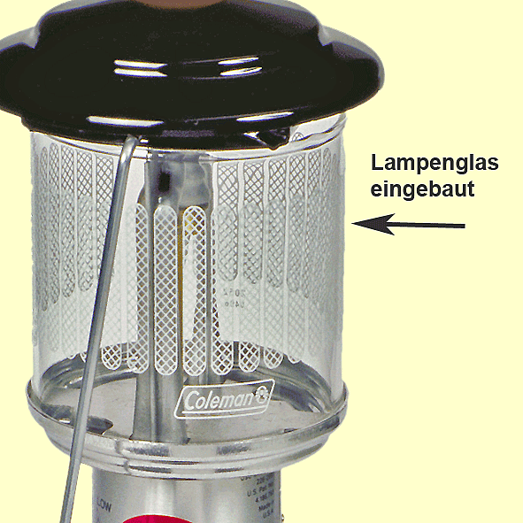 Coleman Lampenglas    A