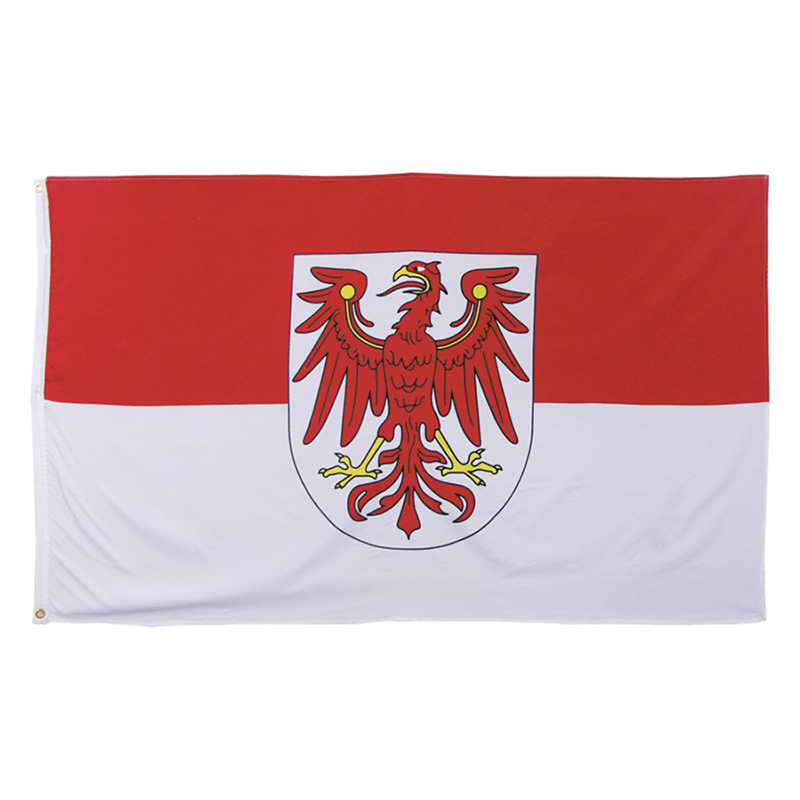 Flagge Schleswig-Holstein 90 x 150 cm Fahne mit 2 Ösen 100g/m² Stoffgewicht  Hissflagge