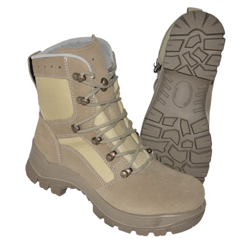 BW Kampfstiefel Gore, Haix Desert P9... A/B