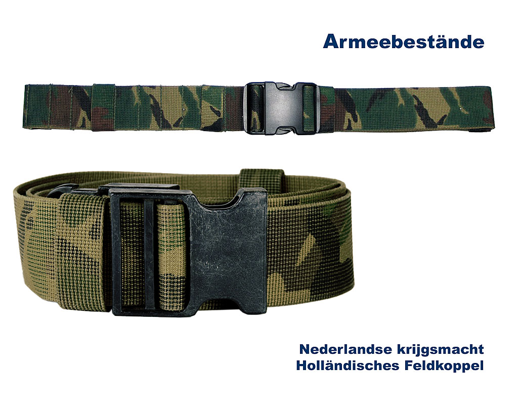 Holländisches Feldkoppel    B
