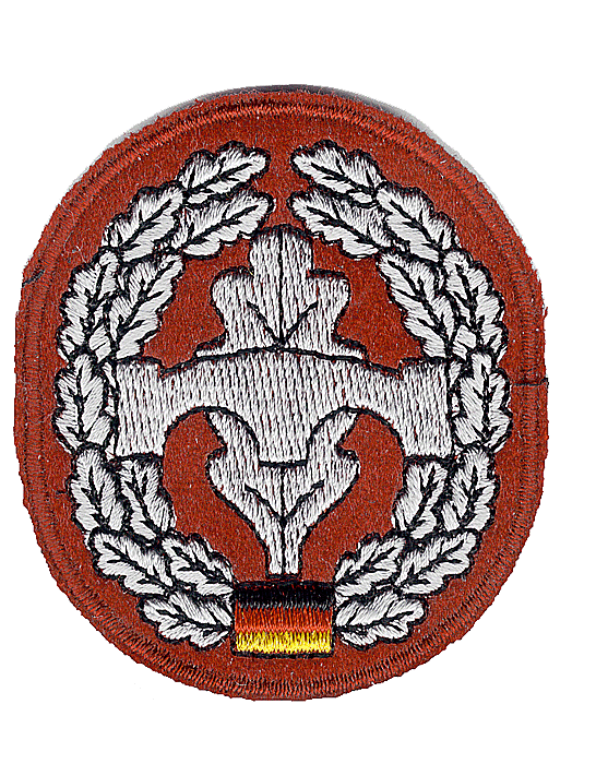 Artikelbild 1 des Artikel: BW Barettabzeichen, Textil, Maschinen gestickt A BW Barettabzeichen, Textil, Maschinen gestickt A